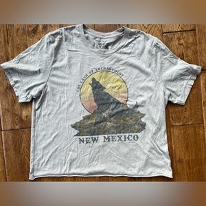 American Highway (Buckle), vintage looking graphic T.